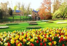 【福利*抢票】去布鲁塞尔国际花展(Floralia Brussels)赏花咯!