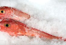 【周末闲聊-美食】推荐比利时好吃又不贵的鱼