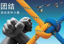 【茶人茶语-专栏】华人唯有团结 不分你我 力量才会更强大