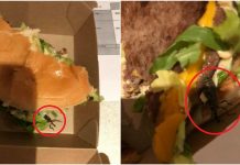 在Quick汉堡中吃出巨无霸虫子!