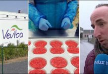 比利时肉类加工巨头:一半的产品不合格(专供Delhaize和Colruyt)!
