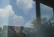 【华人*故事】生活X艺术=我的自画像