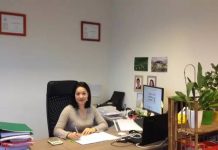 【华人*故事】我在比利时做注册会计师