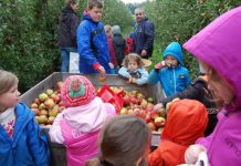 【吃遍比利时】Hesbaye brabançonne地区的美食专线