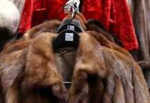 比利时境内,近百家品牌和商店拒绝销售皮草(成衣鞋帽)