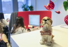 比利时不定期劳动合同:员工经常炒老板”鱿鱼“