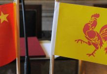 比利时媒体质疑瓦隆大区议员“秘密”访华 缺乏透明度