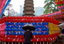南韓也過佛誕節 曹溪寺雨中遊園熱鬧