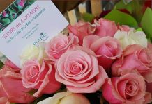 母亲节 买束无污染的“有机”鲜花难吗?