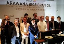 金龙鱼稻米油 点亮欧洲米其林星级美味