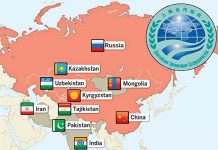 Security, economic, cultural cooperation lights up SCO’s future