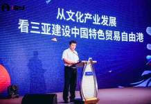 专家张辉:从文化产业发展 看三亚自由贸易港建设