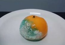 二手烟灰缸、“发霉”的橘子——这些“黑暗甜点”你敢吃吗?