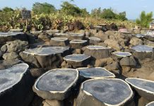 用白盐写下1200年的誓言——海南千年古盐田