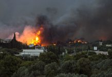 6名比利时人在希腊大火中下落不明