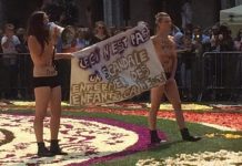 世界最美鲜花地毯 被踩踏!原因竟是为这个。。。。