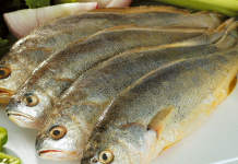 吃海鲜叫不出名字?海南常见海鲜名录了解一下