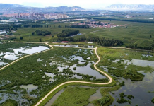 山西神奇湿地:湖泊岛屿和草木构成塞上江南风光