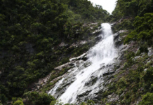 海南的人间秘境!藏在深闺中的大里瀑布