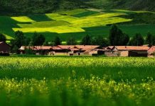 不止敦煌 渭水源头同样风光无限