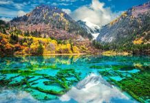 九寨沟黄龙等旅游景区将于9月下旬下调门票