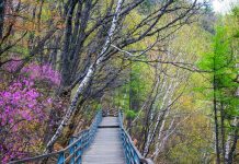 云蒙山国家森林公园 生态旅游的首选胜地