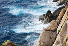 以露营赏月为名!这个中秋节,我们在海上仙山赏月