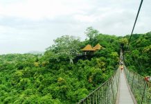 你可知,在这便可将亚龙湾的美景尽收眼底