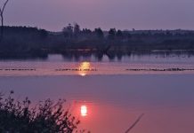 只有海南“老司机”才懂的美景,原来藏在这种地方……