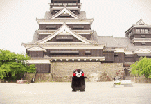 趣观世界|这个流浪汉不一样!有80万的房子,还和有钱人做了邻居