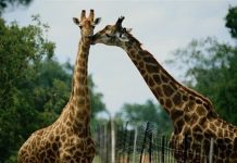 踏浪戏水骑行赏秋……这个“两节”来海口玩点不一样的!