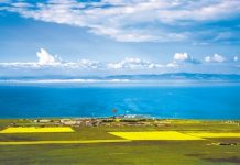 青海:一幅浓墨重彩绘就的生态画卷