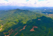 风光旖旎美不胜收 乐东原生态风光醉游人