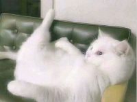 黄金周旅游刷屏大战 海南这些“网红圣地”绝对让你赢!