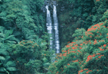 你一定想不到,海南中部这么美!