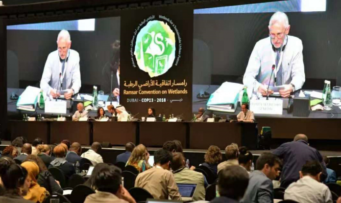 全球首批!海口荣获“国际湿地城市”称号