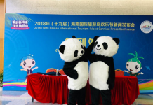 “国宝”来了!11月10日大熊猫将到海南安家