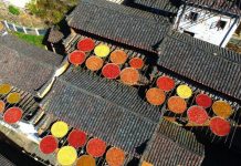 “晒秋”——六百年历史古村独特一景观