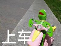 海南没有秋天?你住嘴。