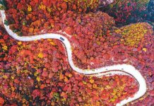 秋染太行 红叶如霞似火