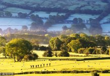 霜降了,快来抓住秋天的尾巴!