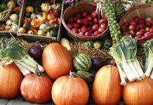 深秋的比利时,新鲜蔬果不可少