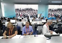 CIIE receives wide attention from foreign media