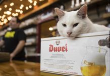 比利时Duvel酒厂推出英式茶饮?