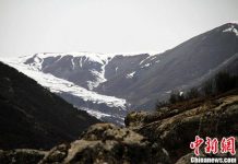 吃饺子、酿黄酒……立冬时节习俗有哪些?