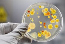 医生提醒:流感高发期,抗生素服用需谨慎(耐药性已致死3万多欧洲人)!