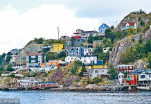 “鳕鱼之乡”——澳大利亚圣约翰斯