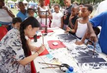 驻南非使馆荣获2018年南非外交使团节大奖