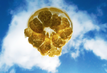 北纬7°——上帝的鱼缸,彩虹的故乡