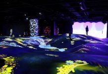 日本数字艺术博物馆太惊艳,游客破百万